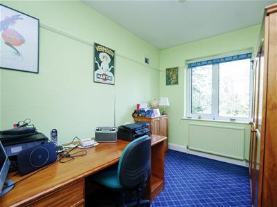 Picture 24